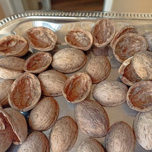 Könnte beinhalten: Eine Ansammlung von Walnüssen, einige ganz und andere mit geöffneten Schalen, auf einem silberfarbenen Tablett angeordnet. Die Walnüsse haben eine raue, strukturierte Oberfläche und eine hellbraune Farbe. Das Tablett hat einen dekorativen, geriffelten Rand.