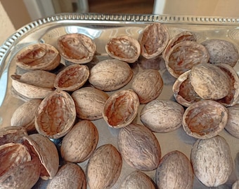 Pure Walnut Shell Halves, Natural Decorative Shells, Empty Nutshell Husks For Crafts, Rustic Wedding Table Decor, Dried Nut Husk Husk Art