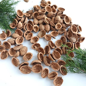 Moitiés de coquilles de noix pour le bricolage et la décoration Décoration de la nature à la maison et au bureau Décoration de Noël Fournitures de noix bio Ornements pour arbre