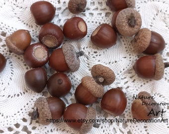 Real Acorn Caps for Fall Themed Crafts from PA Red Oak Trees Various Sizes 500 