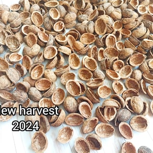 Small Walnut Shell Halves, Crafts and Decoration at Home and Office, Christmas Decoration, Bio Nut Supplies Ornaments for Tree, Autumn Decor