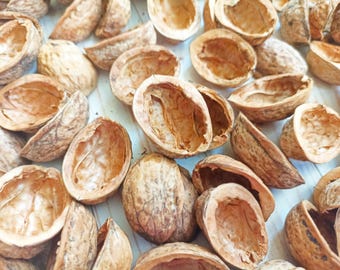 Small Walnut Shell Halves, Crafts at Home and Office, Christmas Decoration, Bio Nut Supplies Ornaments for Tree, Autumn Decor