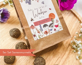 5x Samenmurmeln "Abschiedsgeschenk" - Seedballs Samenbomben nachhaltige Geschenke Glückwünsche Geschenk Kita Schule Lehrer Erzieher