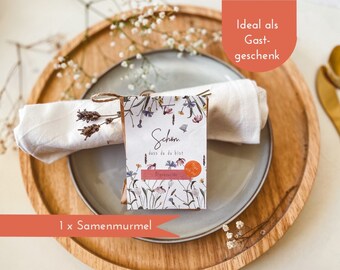 Samenmurmeln Gastgeschenk "Schön, dass du da bist" - Seedballs Samenbomben Gastgeschenk Hochzeit Taufe Geburtstag Mitgebsel