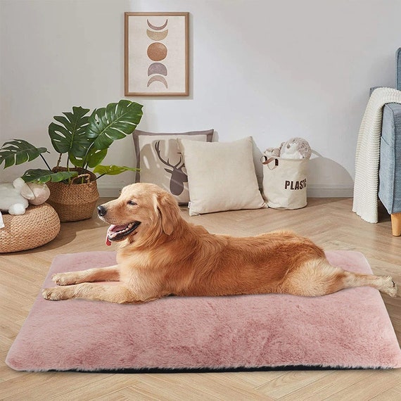 Fleece Dog Beds Soft Cat Bed Mat, Sofa Beds For Dogs Australia
