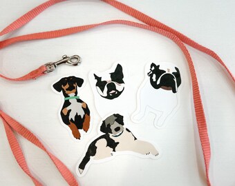 Custom Pet Stickers