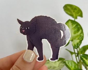 Halloween Cat