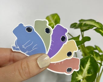 Rainbow Frog Sticker Set