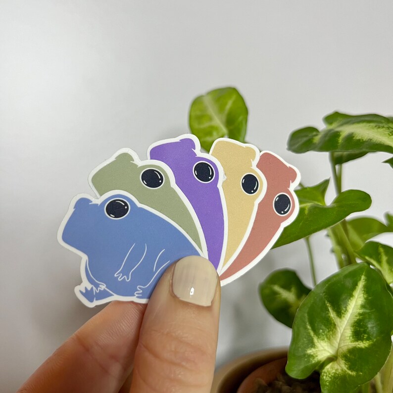 Yellow Frog Sticker Rainbow Frog Sticker Set - Etsy