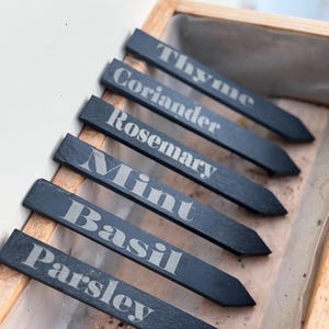 May include: Six black slate plant markers with white lettering. The markers are arranged in a row, with the names of herbs written on them: Thyme, Coriander, Rosemary, Mint, Basil, and Parsley.