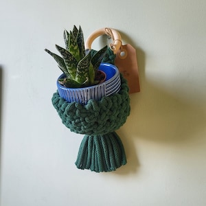May include: A green macrame plant hanger with a blue and white striped ceramic pot and a small succulent plant. The hanger has a wooden ring at the top for hanging.