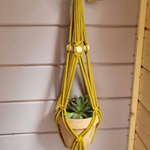 May include: A mustard yellow macrame plant hanger with white wooden beads and a tassel. The hanger is holding a small terracotta pot with a succulent plant.