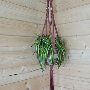 May include: A brown macrame plant hanger with wooden beads hangs from a wooden ceiling. A green spider plant is in a woven basket inside the hanger.