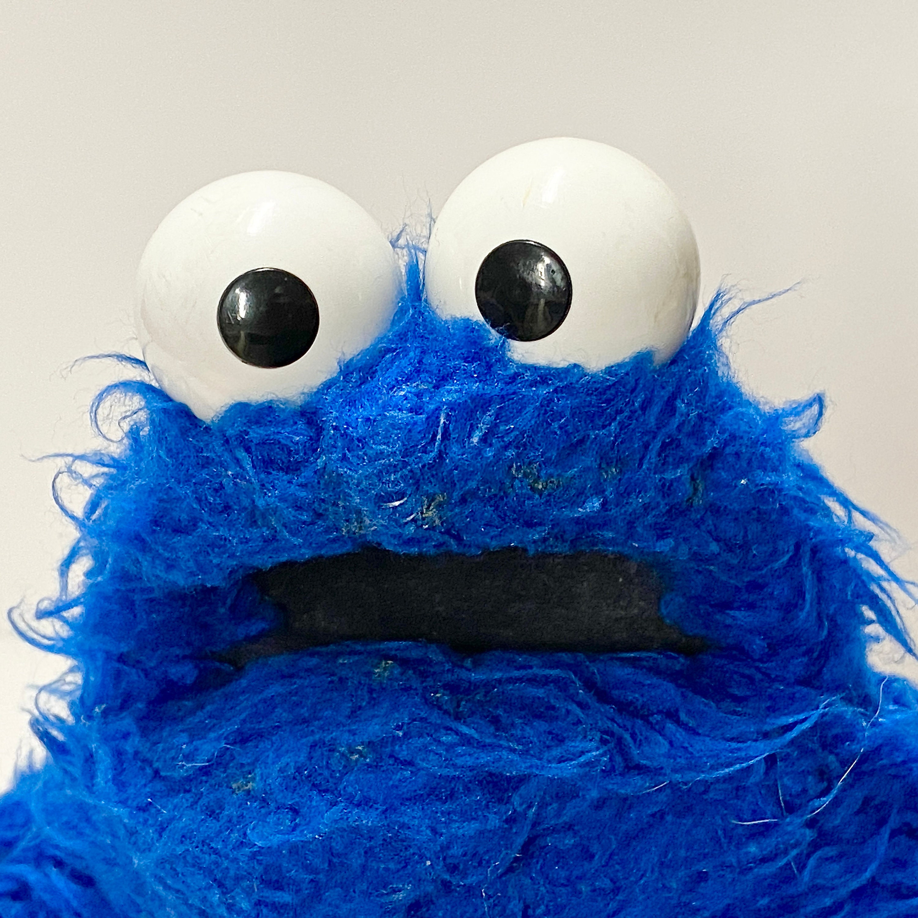 geluk Morse code Gluren Cookie monster toys - Etsy Nederland