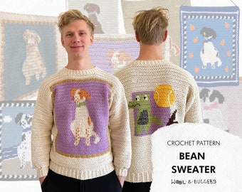 Bean Sweater Crochet Pattern by Wool and Buggers ** PDF only **