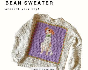 Bean Sweater Crochet Pattern by Wool and Buggers ** PDF only **