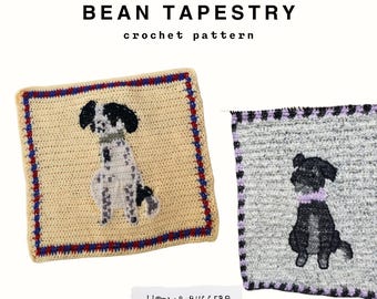 Bean Tapestry Crochet Pattern **PDF ONLY!!**