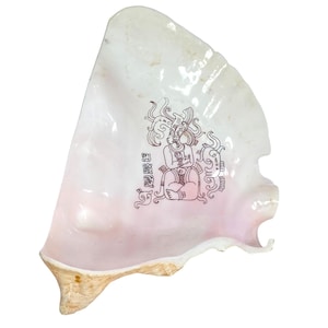 May include: A large, off-white seashell with a pink interior. The shell features a brown illustration of a seated figure with elaborate headdress and glyphs. The shell's edges are a light tan color.