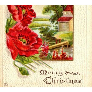 1923 Buon Natale cartolina in rilievo con scene di fattoria con papaveri rossi accenti dorati
