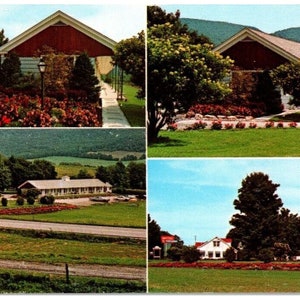 Vintage 1960 Vermonter Motel Bennington Vermont Cartolina panoramica non postata