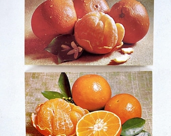 1973 Florida Citrus Council Tempel Tangelos Apelsiner Florida Dept of Citrus Vykort Set Om 2 NOS