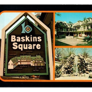 Vintage Baskins Square Shops Gatlinburg Tennessee Cartolina panoramica non postata