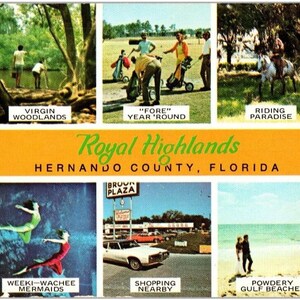 Vintage anni '70 Royal Highlands Hernando FL Cartolina panoramica non postata multi-vista