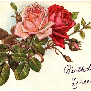 Cartão Postal 1910 Aniversário Saudações Rosas Rosa Vermelhas Acentos Dourados em Relevo