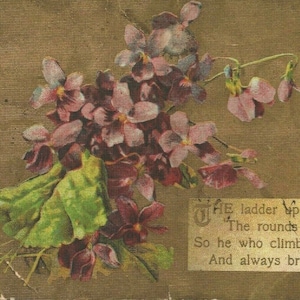 1912 viole del pensiero fiori citazione sfondo oro in rilievo Cartolina in stile Art Déco