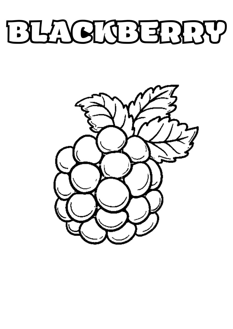 Fruits Coloring Book, Over 20 Pages Etsy