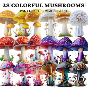 Bunte Magische Pilze Aquarell Clipart Pilze Bundle PNG Aquarell Magische Pilze Clipart Magische Mystische Kunst Fantasy Clipart