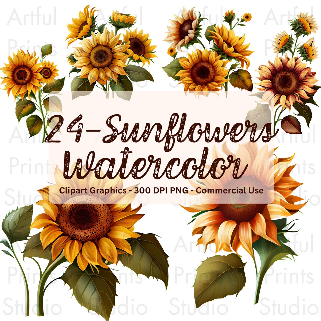 Watercolor Sunflower Bouquets Clipart Fall Sunflower Floral Clipart PNG ...