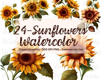 Watercolor Sunflower Clipart, Fall Floral PNG (Digital Download)