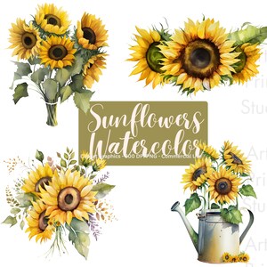 Watercolor Sunflower Clipart Bundle Fall Sunflower Floral Clipart PNG Watercolor Instant download Commercial Use
