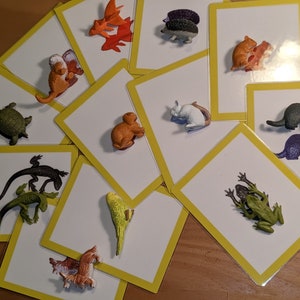 May include: A collection of flashcards with yellow borders, each featuring a small plastic animal figurine. Animals include a turtle, lizard, frog, squirrel, and others. The cards are scattered on a wooden surface.