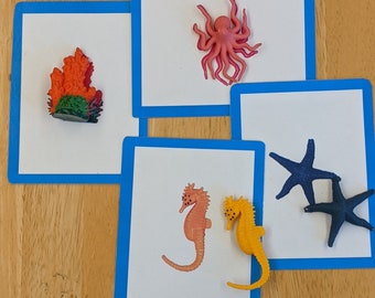 Coral Reef Montessori Language Cards