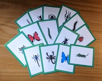 Montessori Language Cards - Insects