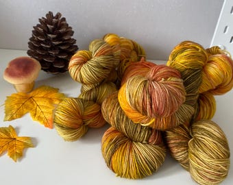 Autumn leaves, superwash merino + nylon, hand-dyed wool