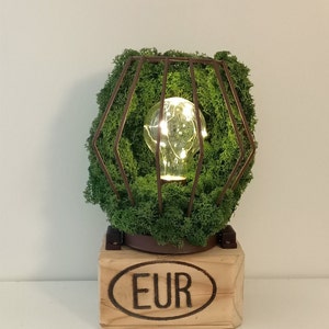 Peut inclure: Lampe décorative avec une ampoule entourée d'une cage en métal marron et de mousse verte. La lampe repose sur une base en bois avec les lettres "EUR" gravées. L'ampoule est éclairée par de petites lumières blanches chaudes.