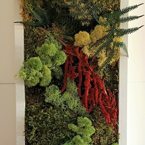 Vertical garden, preserved moss painting, living plant painting, preserved moss art, preserved plants, indoor gardens