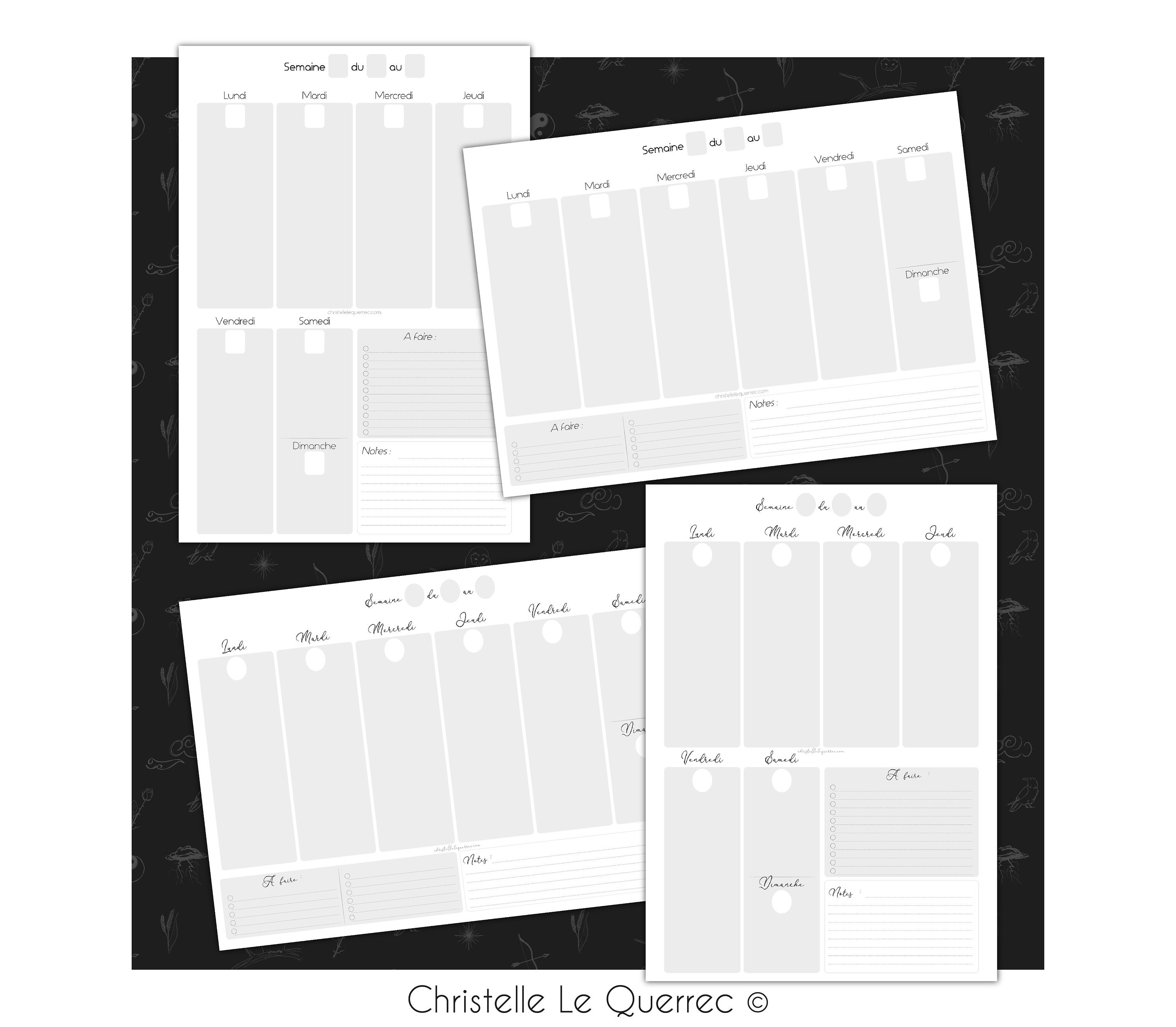 Agenda illustré & Bullet Journal en français à personnaliser: Planificateur  hebdomadaire sur 13 mois I Semainier double page I BUJO pré-rempli  I