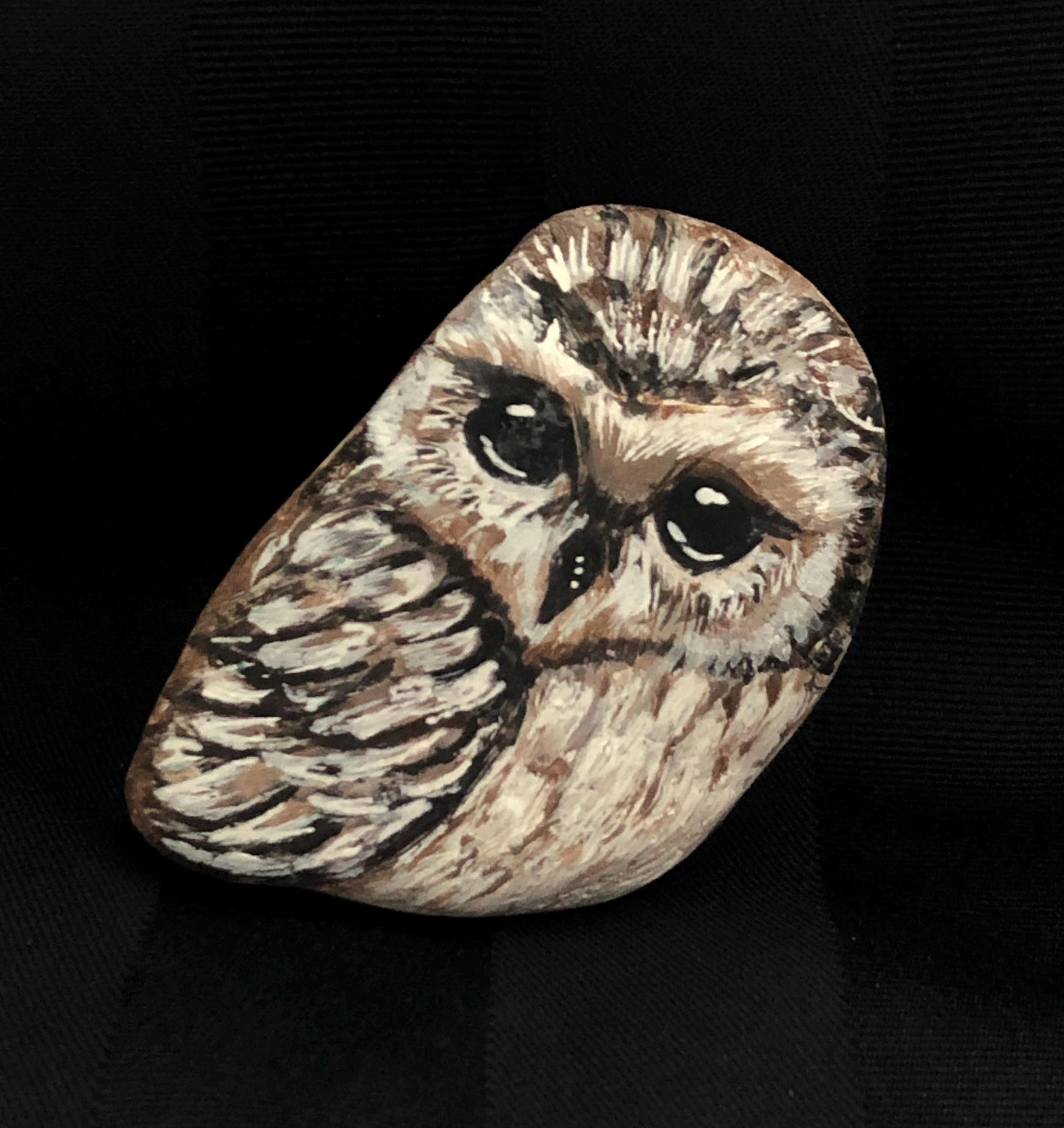 Bird Painted Rock, Owl, Rock Art, Paper Weight, Cute, Bird Lovers Gift, Hand Painted, Bird Art, Natu