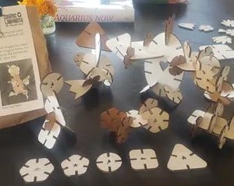 Platonic Solid Building Set