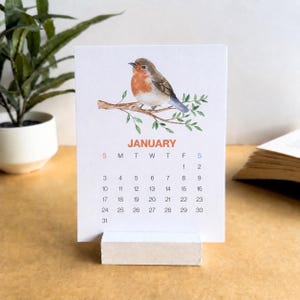 May include: A white desk calendar for January featuring a watercolour illustration of a robin perched on a leafy branch. The calendar is held upright by a rectangular white wooden block stand. The text JANUARY is printed in orange above the dates.