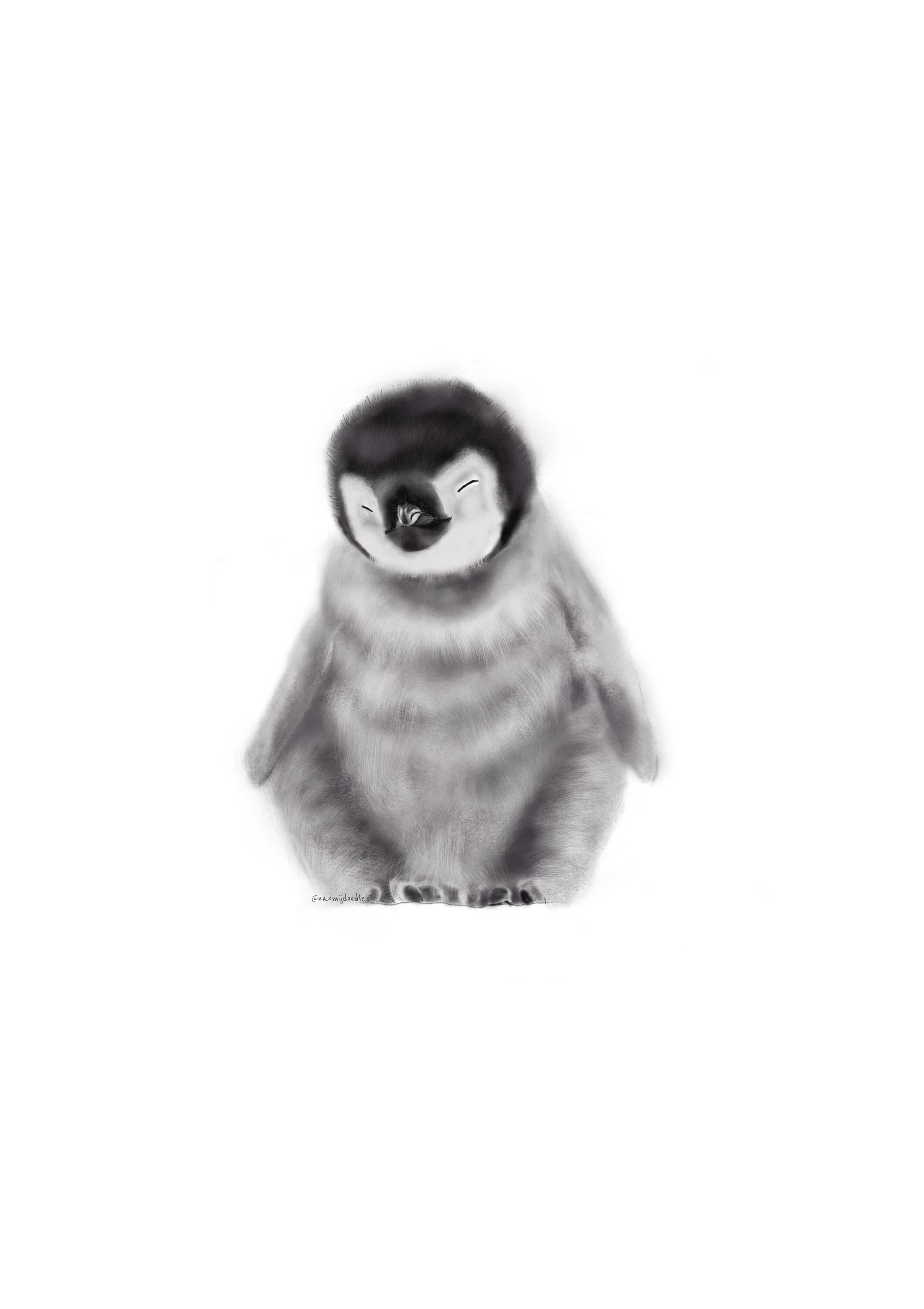 版画 Baby Penguin 版画 Baby Penguin r628c_121fbc9e-32ec-4cd9-82f0-