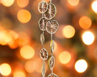 Guirnalda de cítricos de lima