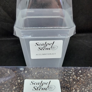 Tissue Culture aroid acclimation kits