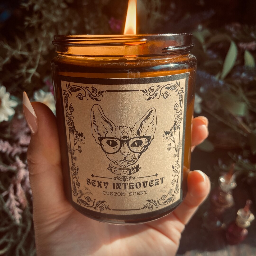 Sexy Introvert 8oz Soy Candle Choose Your Own Scent Etsy UK