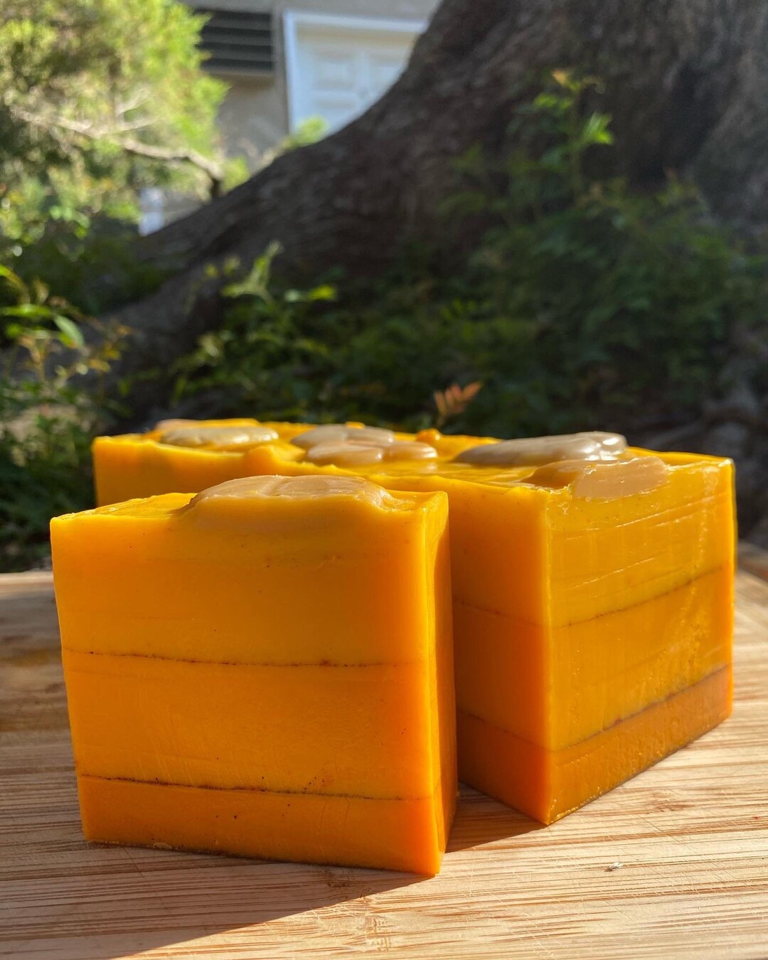 Spice so Nice Bar Soap Etsy