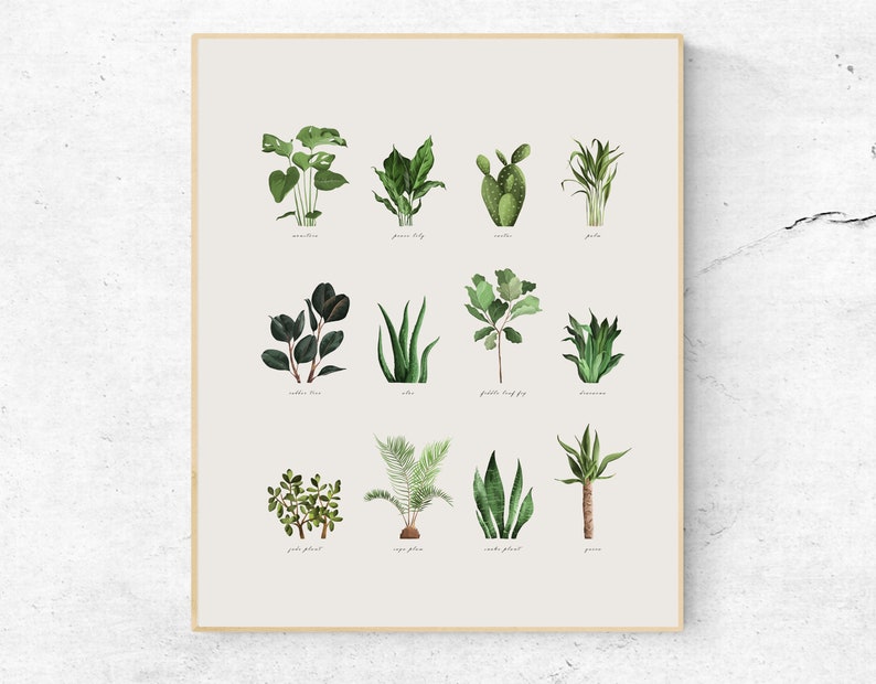 Digital Plant Print, House Plant Art Printable Minimalist Printable Art Mid Century Modern Boho ...